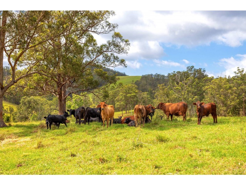 197 Bimbadeen Road, Wherrol Flat NSW 2429