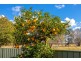 81 Moto Road, Ghinni Ghinni NSW 2430