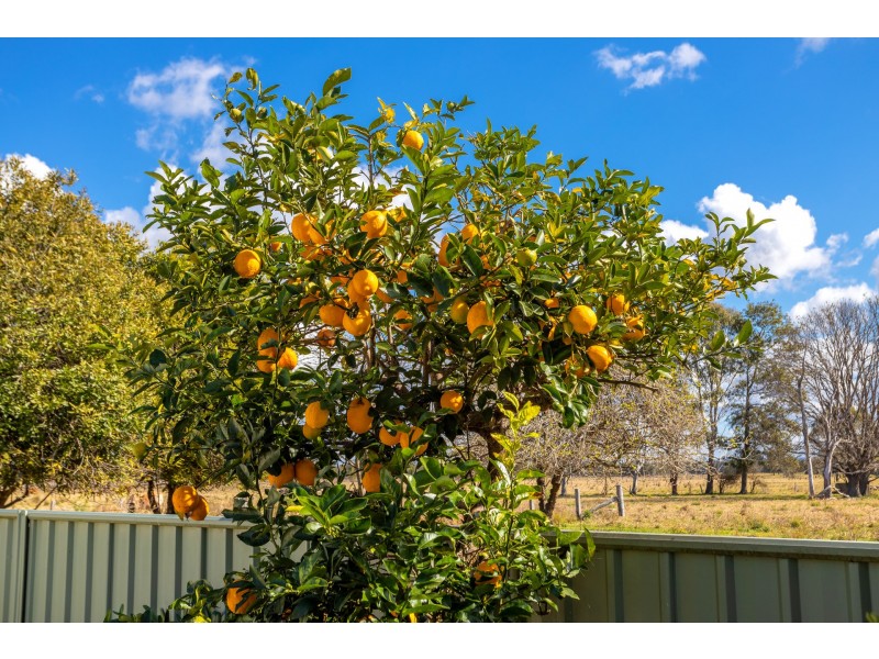 81 Moto Road, Ghinni Ghinni NSW 2430