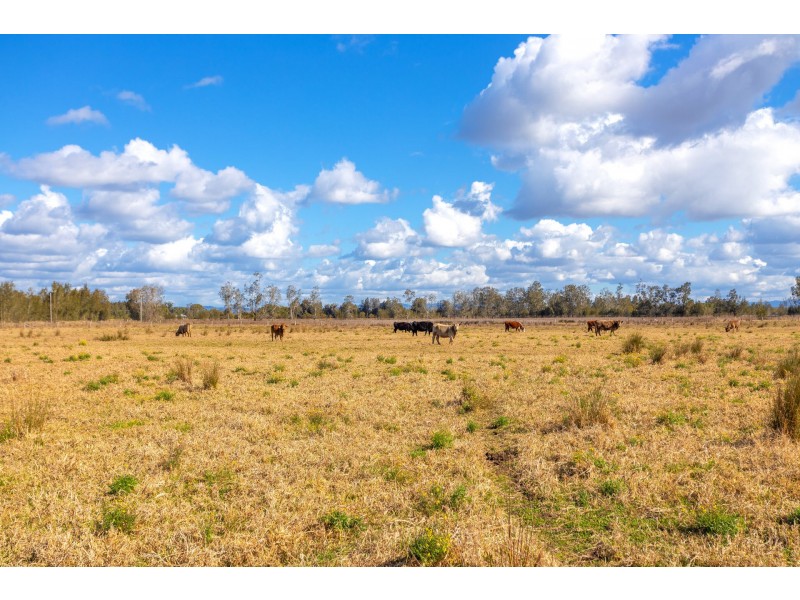 81 Moto Road, Ghinni Ghinni NSW 2430