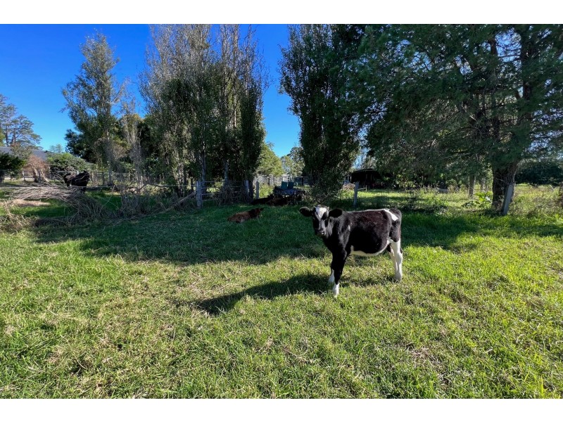 12 Guilding Street, Wingham NSW 2429