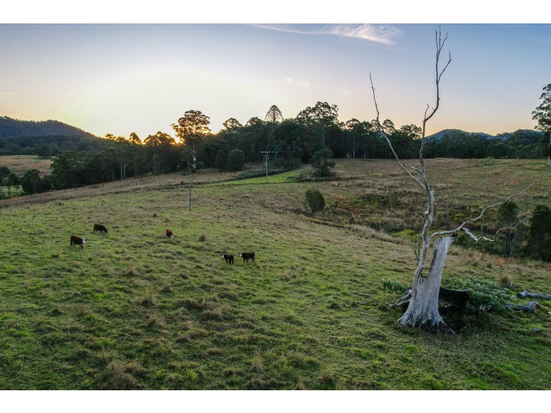 23 Mortons Road, Killabakh NSW 2429