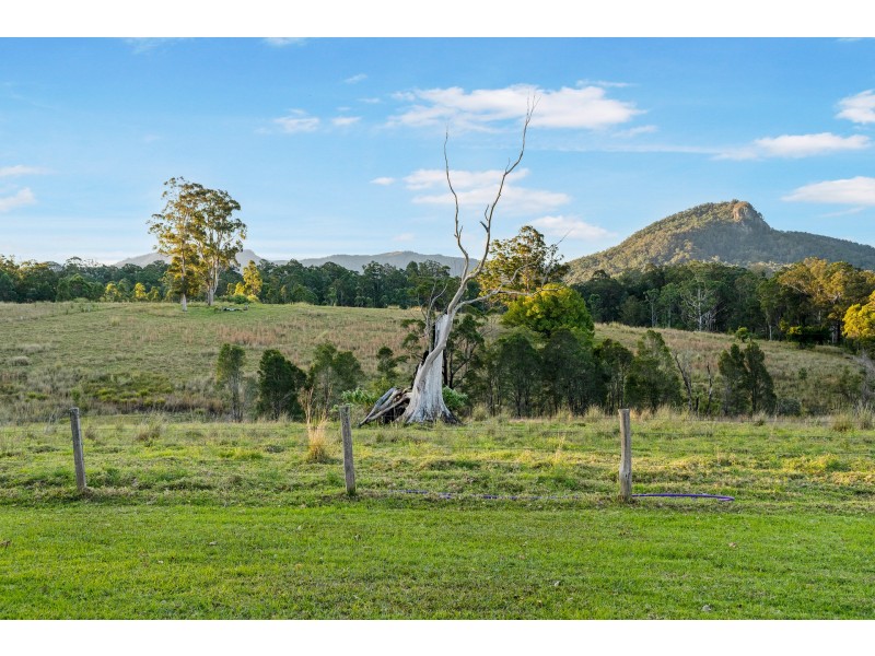 23 Mortons Road, Killabakh NSW 2429