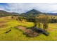 4441 Nowendoc Road, Number One NSW 2424