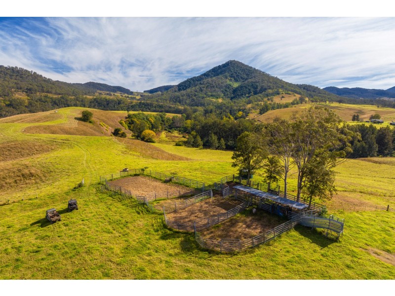 4441 Nowendoc Road, Number One NSW 2424