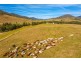 4441 Nowendoc Road, Number One NSW 2424