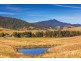 4441 Nowendoc Road, Number One NSW 2424