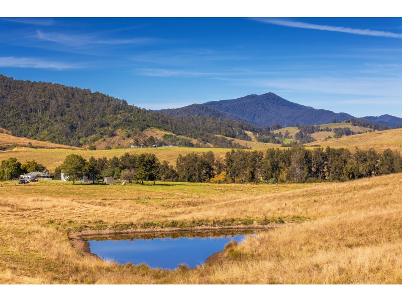 4441 Nowendoc Road, Number One NSW 2424