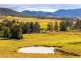 4441 Nowendoc Road, Number One NSW 2424