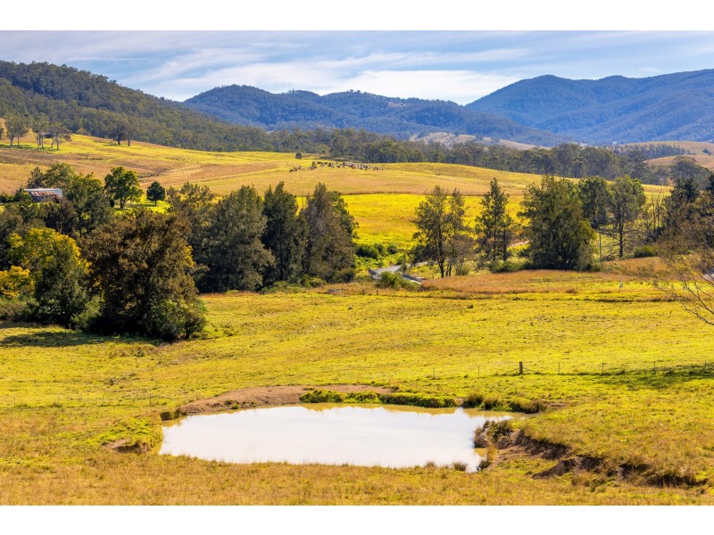 4441 Nowendoc Road, Number One NSW 2424