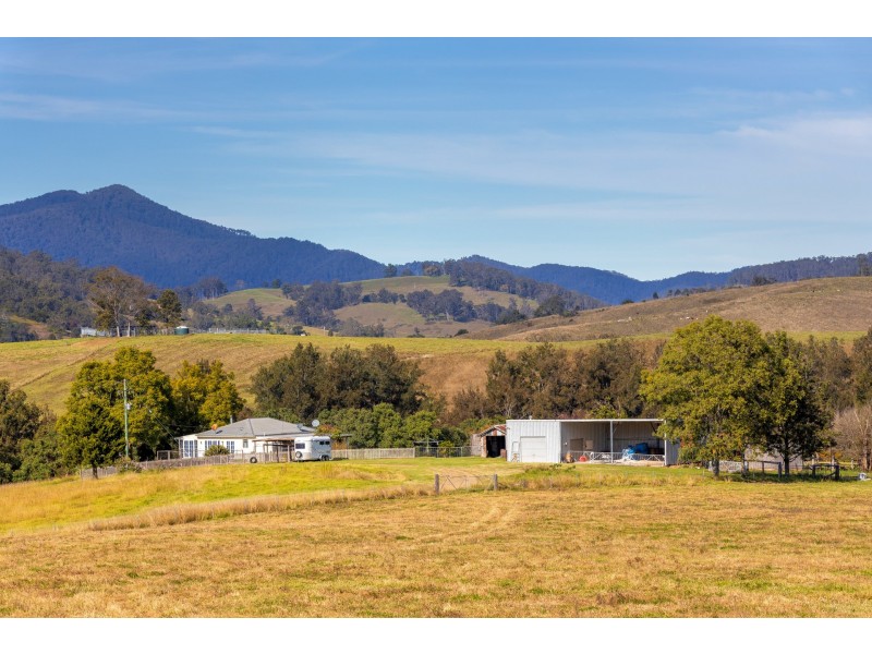 4441 Nowendoc Road, Number One NSW 2424