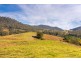 4441 Nowendoc Road, Number One NSW 2424