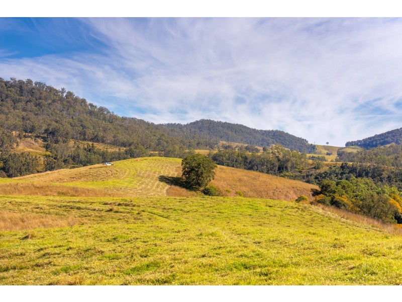 4441 Nowendoc Road, Number One NSW 2424