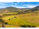 4441 Nowendoc Road, Number One NSW 2424