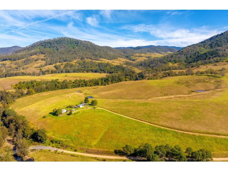 4441 Nowendoc Road, Number One NSW 2424