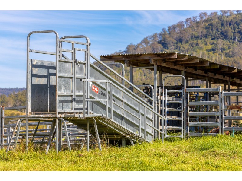 4441 Nowendoc Road, Number One NSW 2424