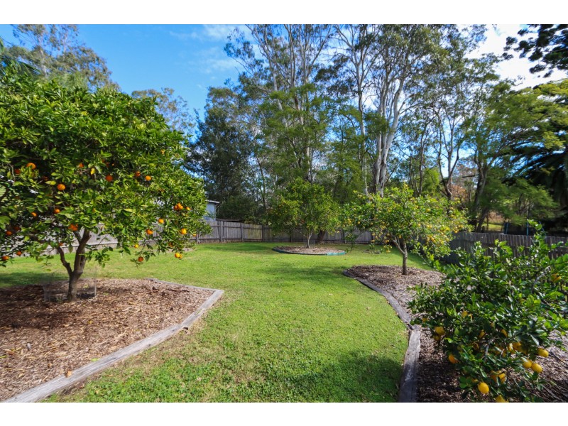 3 Price Street, Wingham NSW 2429