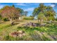 256 Turnback Road, Wherrol Flat NSW 2429