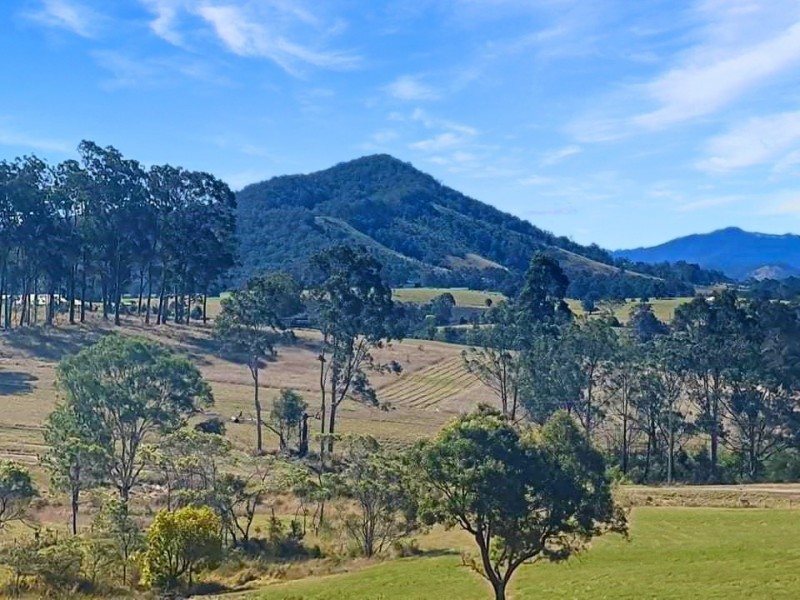 Lot 60 Ellenora Circuit, Wingham NSW 2429