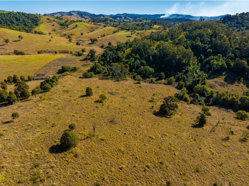 118 Watsons Road, Wang Wauk NSW 2423