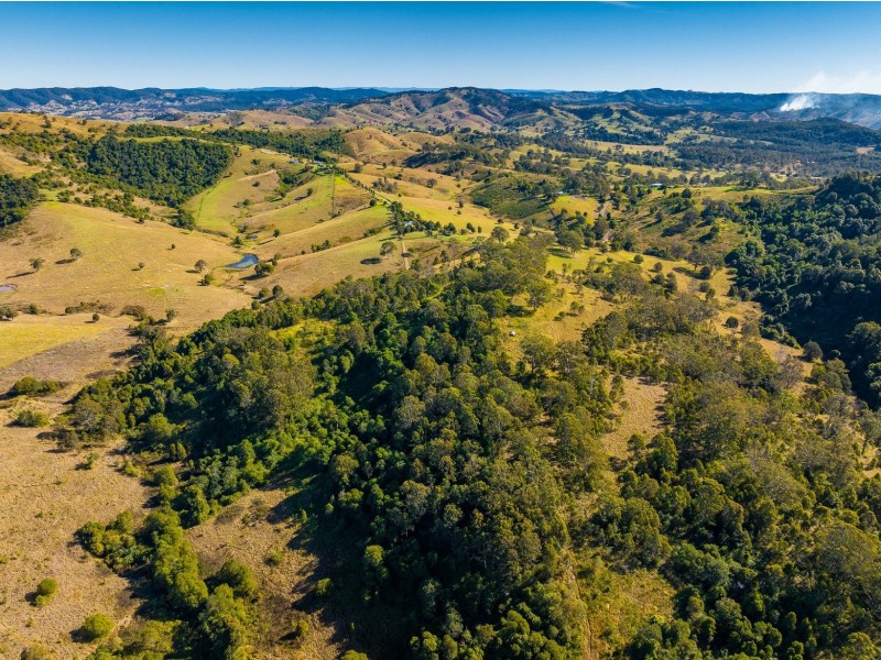 118 Watsons Road, Wang Wauk NSW 2423