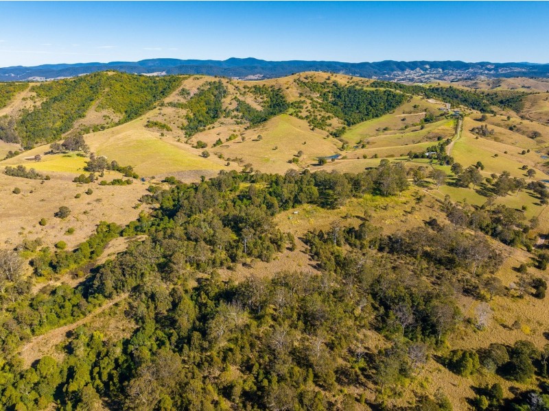 118 Watsons Road, Wang Wauk NSW 2423