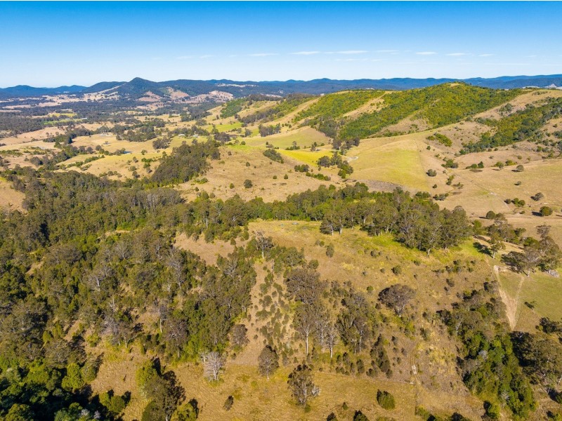 118 Watsons Road, Wang Wauk NSW 2423