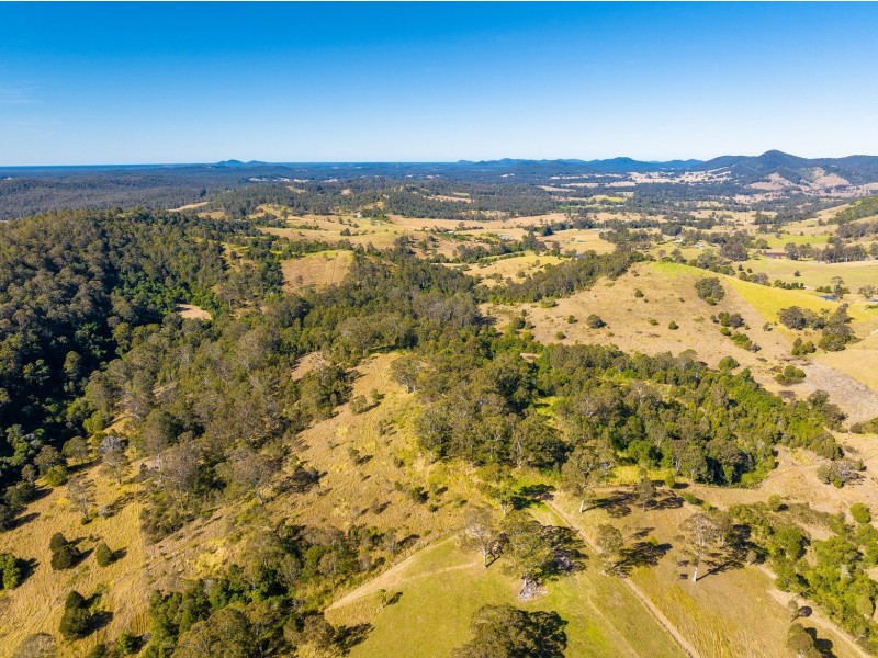 118 Watsons Road, Wang Wauk NSW 2423