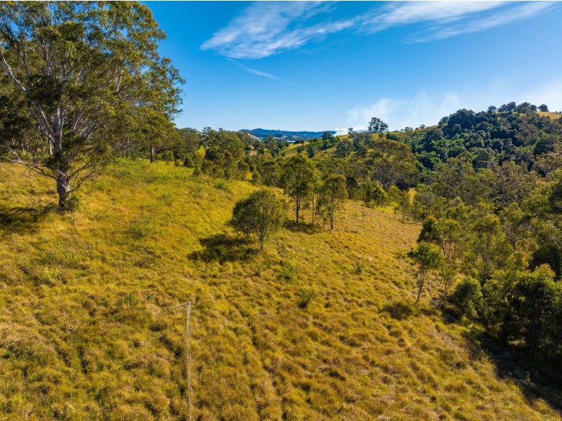 118 Watsons Road, Wang Wauk NSW 2423