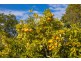 904 Gloucester Road, Killawarra NSW 2429