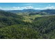 62 Cells Road, Number One NSW 2424