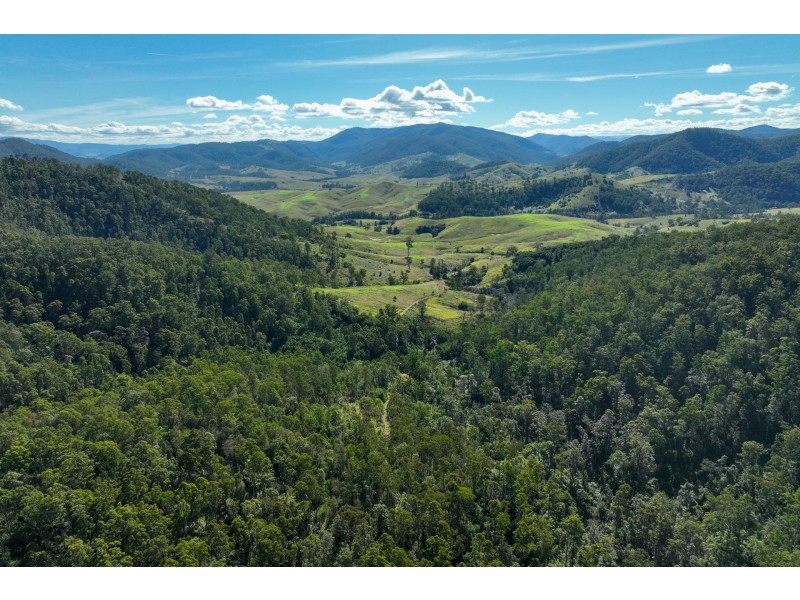 62 Cells Road, Number One NSW 2424
