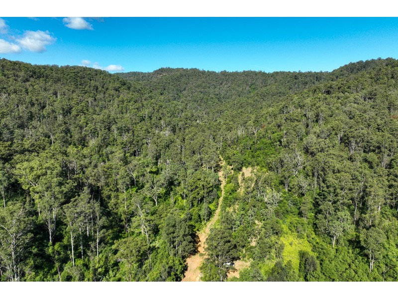 62 Cells Road, Number One NSW 2424