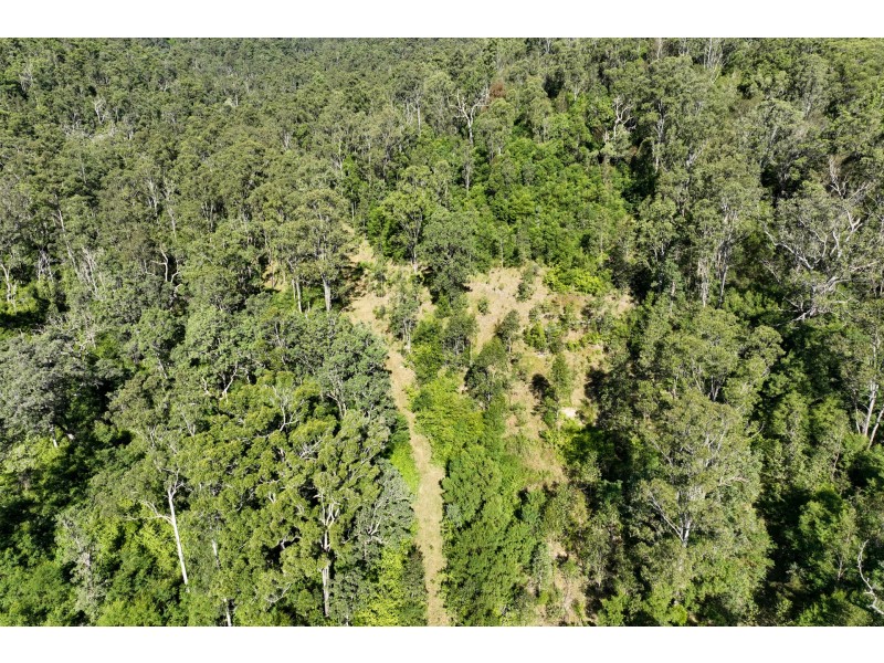 62 Cells Road, Number One NSW 2424