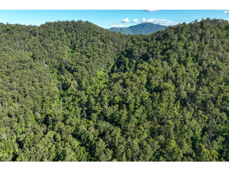 62 Cells Road, Number One NSW 2424