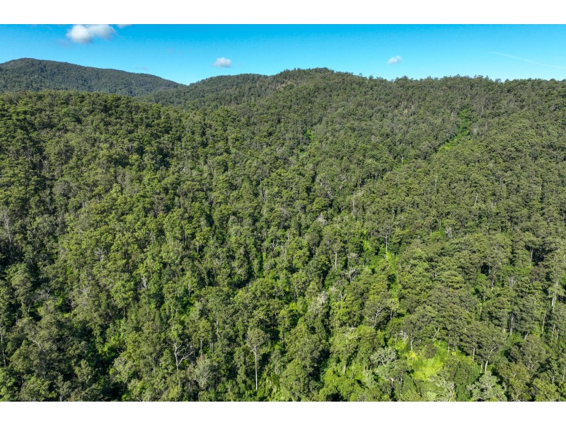 62 Cells Road, Number One NSW 2424