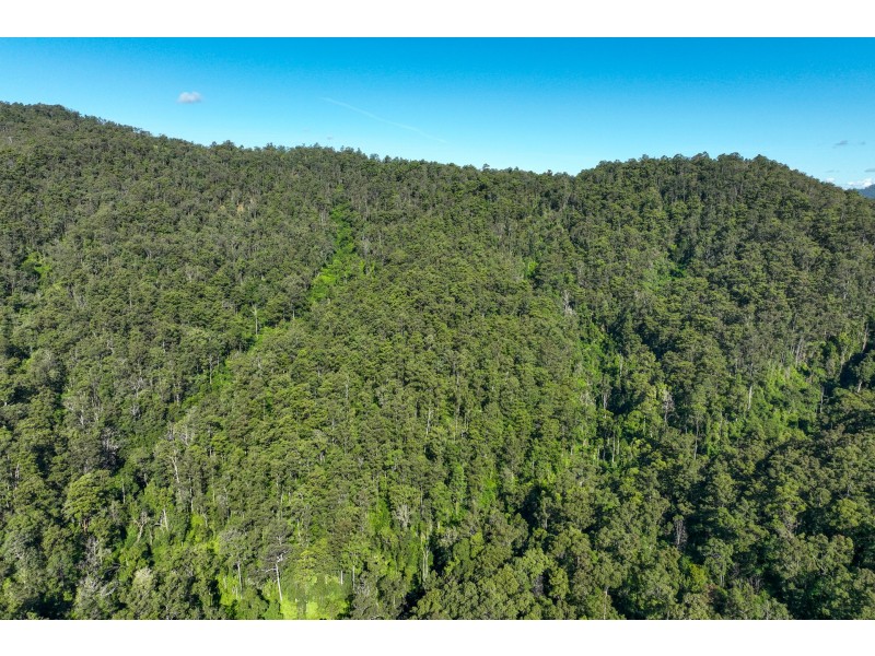 62 Cells Road, Number One NSW 2424