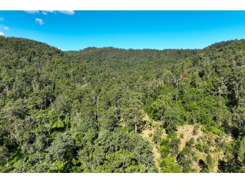 62 Cells Road, Number One NSW 2424