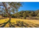 Curricabark Road, Curricabark NSW 2422