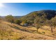 Curricabark Road, Curricabark NSW 2422
