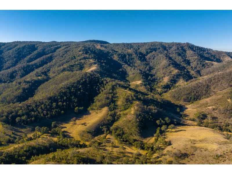 Curricabark Road, Curricabark NSW 2422