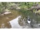 350 Coaches Creek Road, Elands NSW 2429