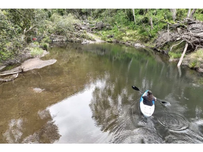 350 Coaches Creek Road, Elands NSW 2429