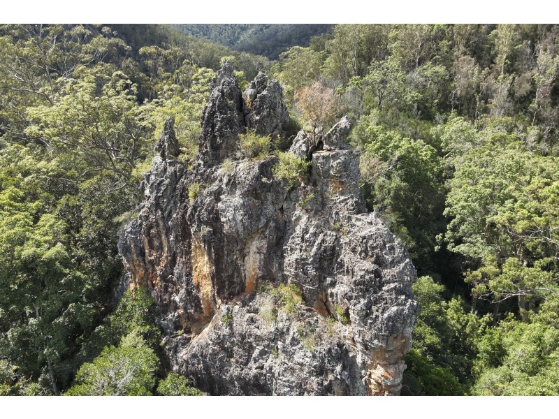 350 Coaches Creek Road, Elands NSW 2429