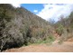 350 Coaches Creek Road, Elands NSW 2429