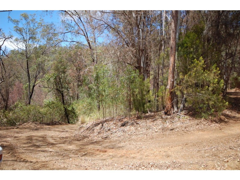 350 Coaches Creek Road, Elands NSW 2429