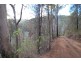 350 Coaches Creek Road, Elands NSW 2429