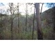 350 Coaches Creek Road, Elands NSW 2429