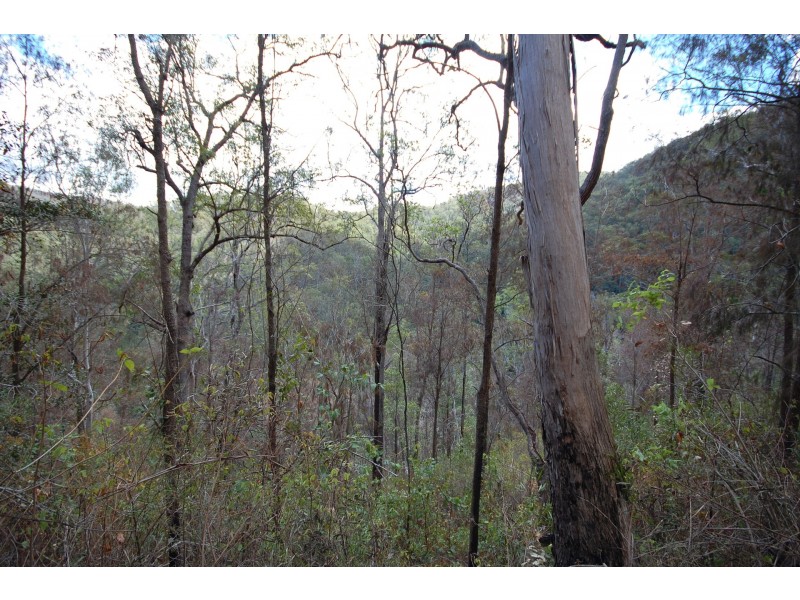 350 Coaches Creek Road, Elands NSW 2429