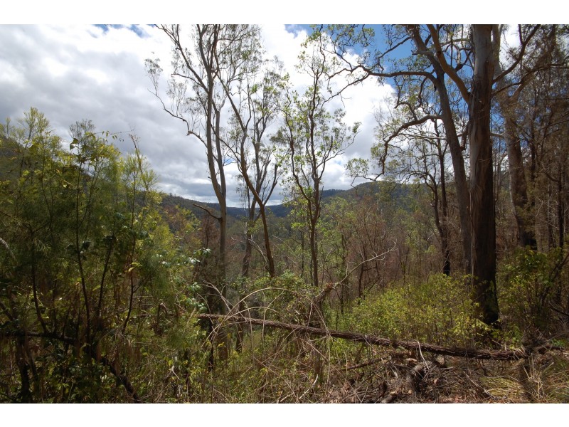 350 Coaches Creek Road, Elands NSW 2429